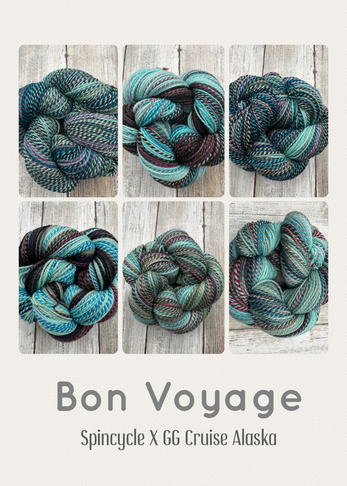 Spincycle l Bon Voyage