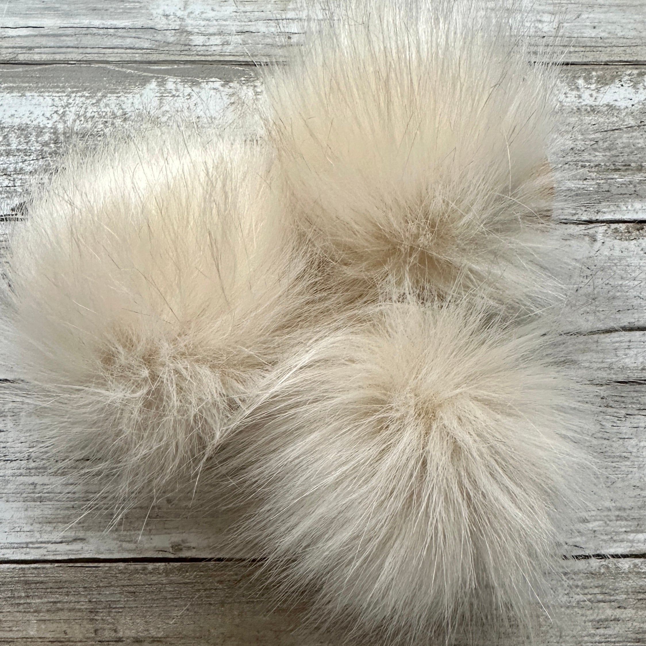 Pompom #121 Ivory 2.0